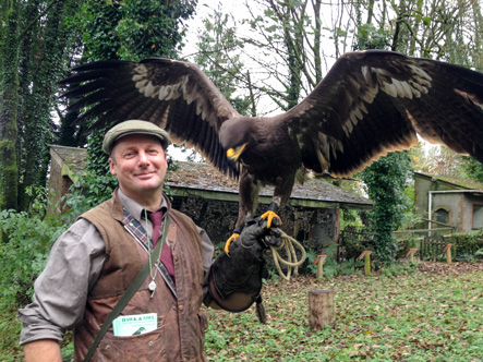 David Buncle Falconer