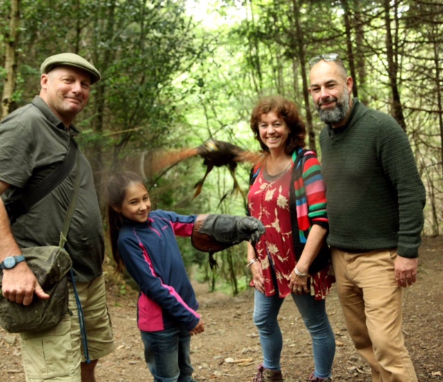 Falconry experience day in Devon