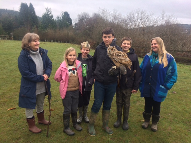 Birds of prey gift experience day
