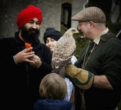 falconry at outdoor events