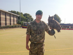 falconry at outdoor events