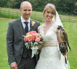 wedding falconry